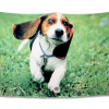 Big_eared_puppy_tapestry_by_Rescue_Strays_Shelter_90